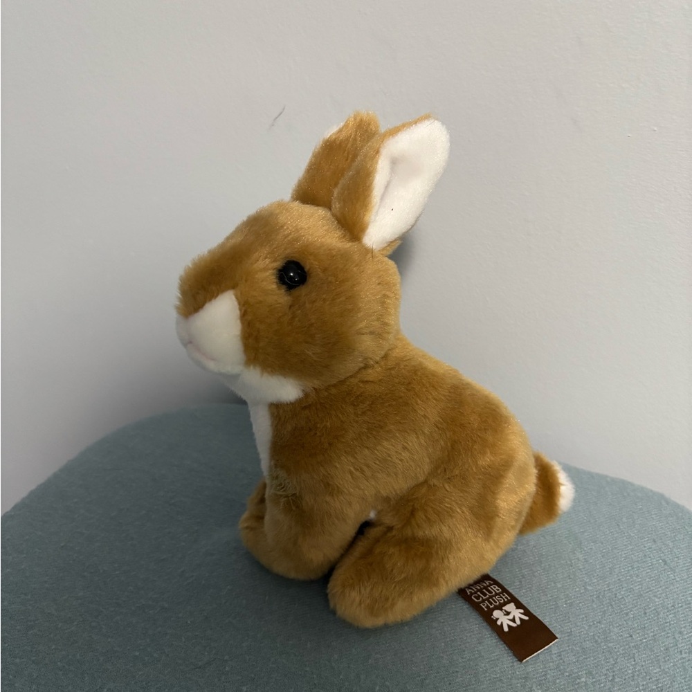 Anna Club Plush Bunny - super soft!